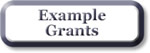 Example Grants